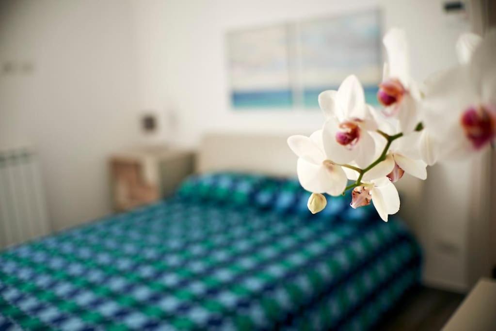 San Vito Apartament 滨海波利尼亚诺 外观 照片